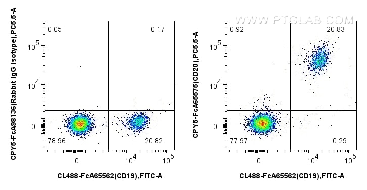 FC experiment of human PBMCs using CPY5-FcA65575 Flow cytometry (FC) experiment of human PBMCs using FcZero-rAb® PerCP-Cyanine5.5 Anti-Human CD20 (2H7) (CPY5-FcA65575)