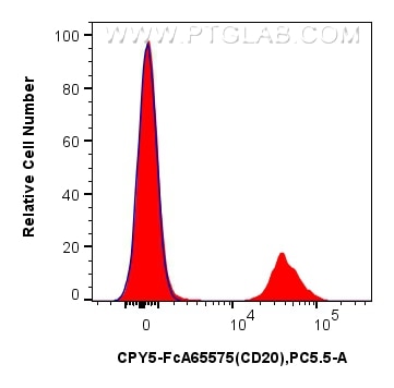 FC experiment of human PBMCs using CPY5-FcA65575 Flow cytometry (FC) experiment of human PBMCs using FcZero-rAb® PerCP-Cyanine5.5 Anti-Human CD20 (2H7) (CPY5-FcA65575)