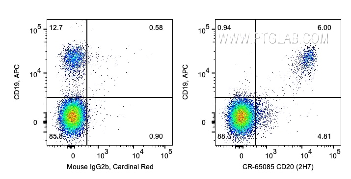 Flow cytometry (FC) experiment of human PBMCs using Cardinal Red™ Anti-Human CD20 (2H7) (CR-65085)