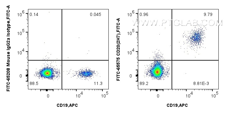 1x10^6 human PBMCs were surface stained with FcZero-rAb™ APC Anti-Human CD19, and 5 ul FITC Plus Anti-Human CD20 (2H7) Mouse IgG2a RecAb (FITC-65575, Clone: 2H7) or FITC Plus Mouse IgG2a Isotype Control (C1.18.4) (FITC-65208, Clone: C1.18.4). Cells were not fixed. Flow cytometry (FC) experiment of human PBMCs using FITC Plus Anti-Human CD20 (2H7) Mouse IgG2a Recomb (FITC-65575)