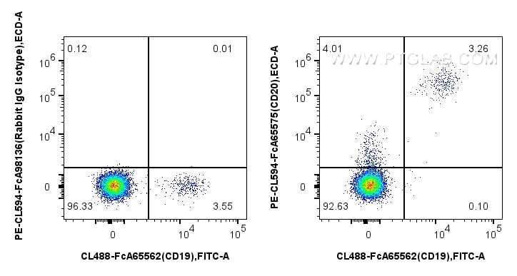 FC experiment of human PBMCs using PCL594-FcA65575 Flow cytometry (FC) experiment of human PBMCs using FcZero-rAb® PE-CoraLite® Plus 594 Anti-Human CD20 (PCL594-FcA65575)