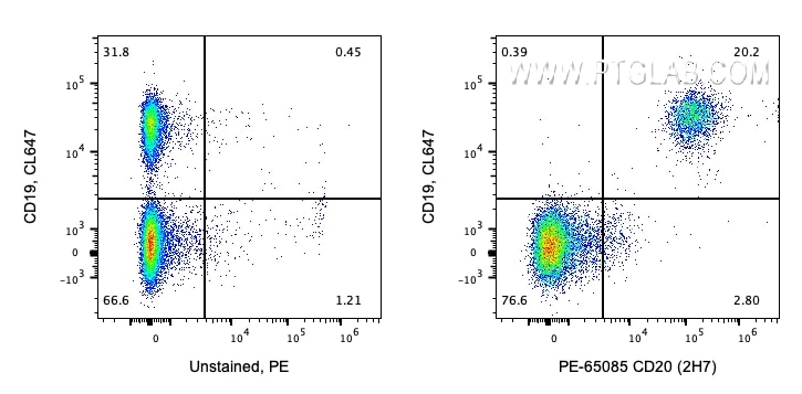 Flow cytometry (FC) experiment of human PBMCs using PE Anti-Human CD20 (2H7) (PE-65085)