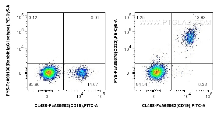 FC experiment of human PBMCs using PY5-FcA65575 Flow cytometry (FC) experiment of human PBMCs using FcZero-rAb® PE-Cyanine5 Anti-Human CD20 (2H7) Rabb (PY5-FcA65575)