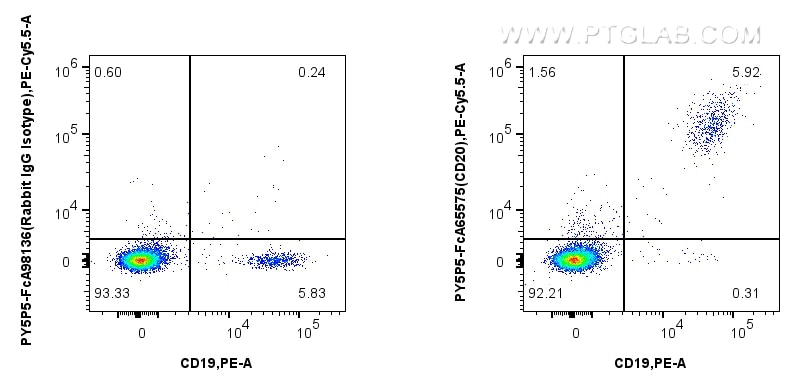 Flow cytometry (FC) experiment of human PBMCs using FcZero-rAb™ PE-Cyanine5.5 Anti-Human CD20 (2H7) Ra (PY5P5-FcA65575)