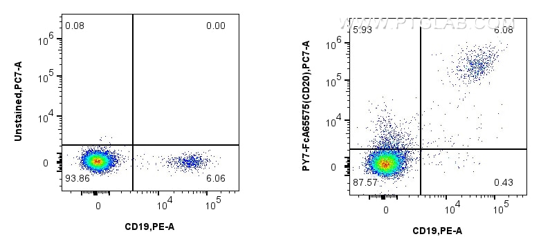 Flow cytometry (FC) experiment of human PBMCs using FcZero-rAb™ PE-Cyanine7 Anti-Human CD20 (2H7) Rabb (PY7-FcA65575)
