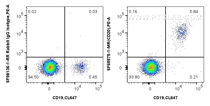 FC experiment of human PBMCs using SF65575-1-MR Flow cytometry (FC) experiment of human PBMCs using Anti-Human CD20 Mouse scFv Antibody (SF65575-1-MR)