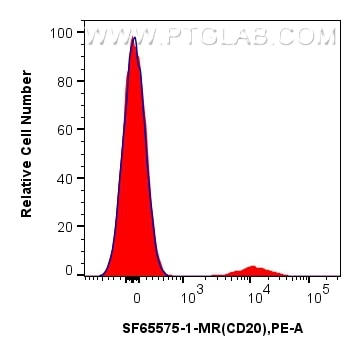 FC experiment of human PBMCs using SF65575-1-MR Flow cytometry (FC) experiment of human PBMCs using Anti-Human CD20 Mouse scFv Antibody (SF65575-1-MR)