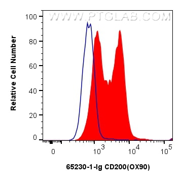 Flow cytometry (FC) experiment of mouse splenocytes using Anti-Mouse CD200 (OX90) (65230-1-Ig)