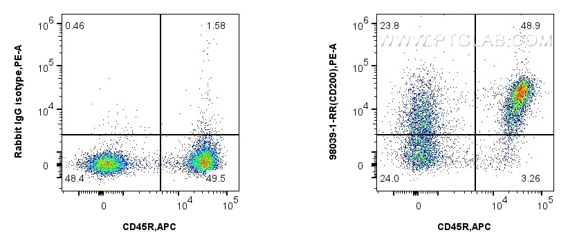 Flow cytometry (FC) experiment of mouse splenocytes using Anti-Mouse CD200 Rabbit Recombinant Antibody (98039-1-RR)