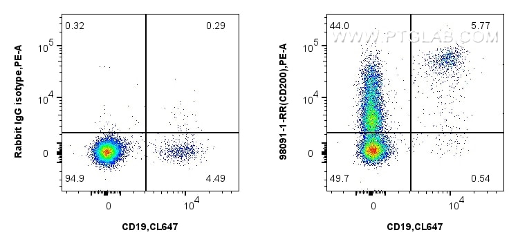 1x10^6 human PBMCs were surface stained with 0.25 ug Anti-Human CD200 Rabbit Recombinant Antibody (98091-1-RR, Clone: 241347E1) or 0.25 ug Rabbit IgG Isotype Control RecAb (98136-1-RR, Clone: 240953C9), and PE-conjugated Goat Anti-Rabbit IgG. Cells were then stained with CoraLite® Plus 647 Anti-Human CD19 (4G7). Cells were not fixed. Lymphocytes were gated. Flow cytometry (FC) experiment of human PBMCs using Anti-Human CD200 Rabbit Recombinant Antibody (98091-1-RR)