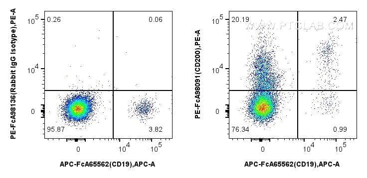FC experiment of human PBMCs using PE-FcA98091-2 Flow cytometry (FC) experiment of human PBMCs using FcZero-rAb™ PE Anti-Human CD200 Rabbit Recombinant (PE-FcA98091-2)
