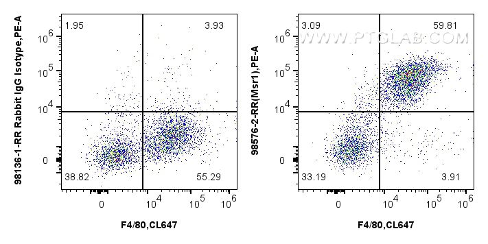 1x10^6 mouse peritoneal macrophages were surface stained with 0.25 ug Anti-Mouse CD204 Rabbit RecAb (98576-2-RR, Clone: 251367F5) or 0.25 ug Rabbit IgG Isotype Control RecAb (98136-1-RR, Clone: 240953C9), and PE-Conjugated Goat Anti-Rabbit IgG(H+L). Cells were then stained with CoraLite® Plus 647 Anti-Mouse F4/80. Cells were not fixed. Flow cytometry (FC) experiment of mouse peritoneal macrophages using Anti-Mouse CD204 Rabbit Recombinant Antibody (98576-2-RR)