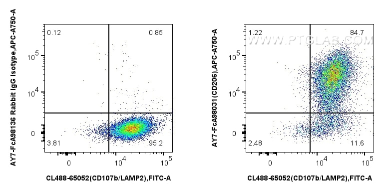 FC experiment of mouse peritoneal macrophages using AY7-FcA98031 Flow cytometry (FC) experiment of mouse peritoneal macrophages using FcZero-rAb® APC-Cyanine7 Anti-Mouse CD206 Rabbit R (AY7-FcA98031)