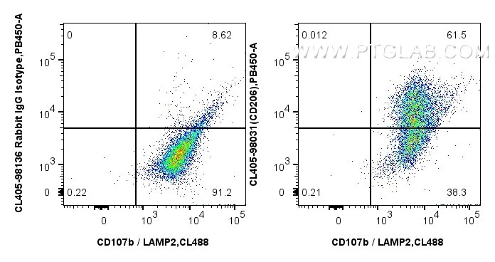 Flow cytometry (FC) experiment of mouse peritoneal macrophages using CoraLite® Plus 405 Anti-Mouse CD206 Rabbit Recombi (CL405-98031)