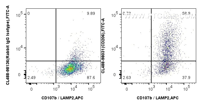 Flow cytometry (FC) experiment of mouse peritoneal macrophages using CoraLite® Plus 488 Anti-Mouse CD206 Rabbit Recombi (CL488-98031)