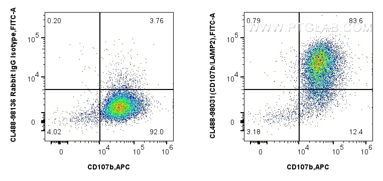 1x10^6 mouse peritoneal macrophages were surface stained with APC Anti-Mouse CD107b / LAMP2, and 0.25 ug CoraLite® Plus 488 Anti-Mouse CD206 Rabbit RecAb (CL488-98031, Clone: 240344D12) or CoraLite® Plus 488 Rabbit IgG Isotype Control RecAb (CL488-98136, Clone: 240953C9). Cells were incubated with FC Receptor Block prior to staining and fixing. Cells were not fixed. Flow cytometry (FC) experiment of mouse peritoneal macrophages using CoraLite® Plus 488 Anti-Mouse CD206 Rabbit Recombi (CL488-98031)