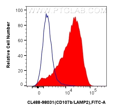 1x10^6 mouse peritoneal macrophages were surface stained with 0.25 ug CoraLite® Plus 488 Anti-Mouse CD206 Rabbit RecAb (CL488-98031, Clone: 240344D12) (red) or CoraLite® Plus 488 Rabbit IgG Isotype Control RecAb (CL488-98136, Clone: 240953C9) (blue). Cells were incubated with FC Receptor Block prior to staining and fixing. Cells were not fixed. Flow cytometry (FC) experiment of mouse peritoneal macrophages using CoraLite® Plus 488 Anti-Mouse CD206 Rabbit Recombi (CL488-98031)