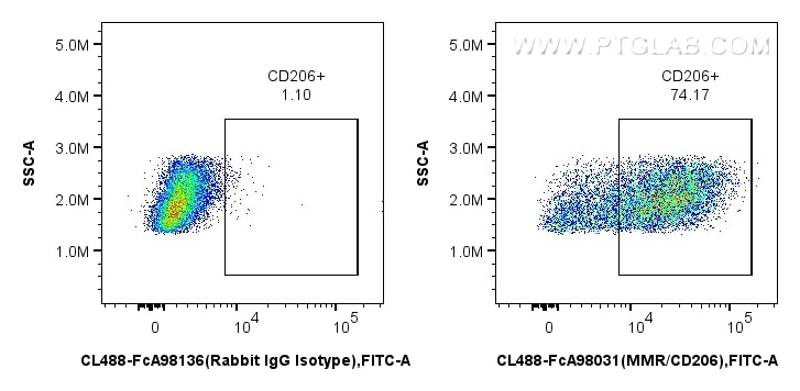 Flow cytometry (FC) experiment of mouse peritoneal macrophages using FcZero-rAb™ CoraLite® Plus 488 Anti-Mouse CD206 Ra (CL488-FcA98031)