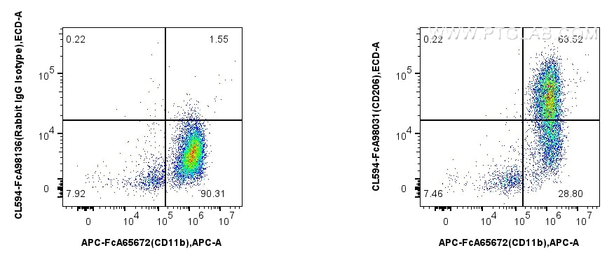 Flow cytometry (FC) experiment of mouse peritoneal macrophages using FcZero-rAb™ CoraLite®594 Anti-Mouse CD206 Rabbit R (CL594-FcA98031)