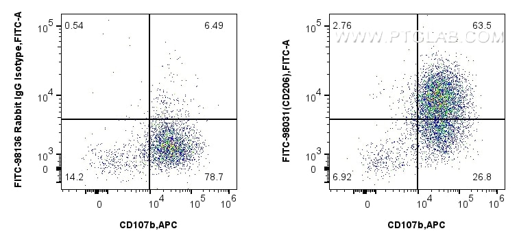 1x10^6 mouse peritoneal macrophages were surface stained with APC Anti-Mouse CD107b / LAMP2, and 0.25 ug FITC Plus Anti-Mouse CD206 Rabbit RecAb (FITC-98031, Clone: 240344D12) or FITC Plus Rabbit IgG Isotype Control RecAb (FITC-98136, Clone: 240953C9). Cells were incubated with FC Receptor Block prior to staining and fixing. Cells were not fixed. Flow cytometry (FC) experiment of mouse peritoneal macrophages using FITC Plus Anti-Mouse CD206 Rabbit Recombinant Anti (FITC-98031)