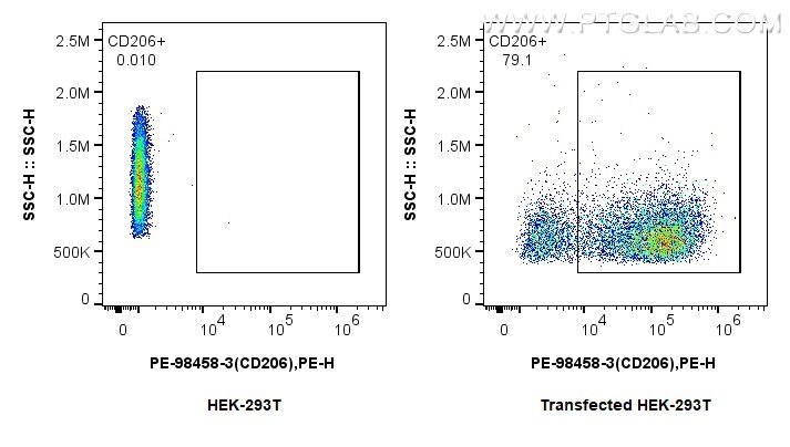 FC experiment of Transfected HEK-293T using PE-98458-3 Flow cytometry (FC) experiment of Transfected HEK-293T cells using PE Anti-Human CD206 Rabbit Recombinant Antibody (PE-98458-3)