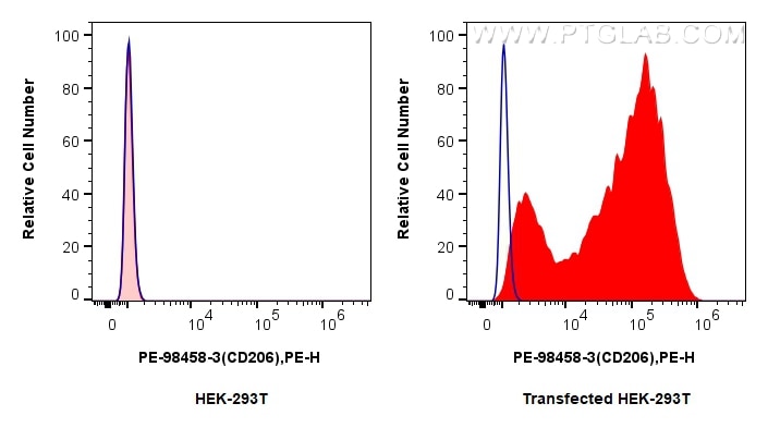 FC experiment of Transfected HEK-293T using PE-98458-3 Flow cytometry (FC) experiment of Transfected HEK-293T cells using PE Anti-Human CD206 Rabbit Recombinant Antibody (PE-98458-3)