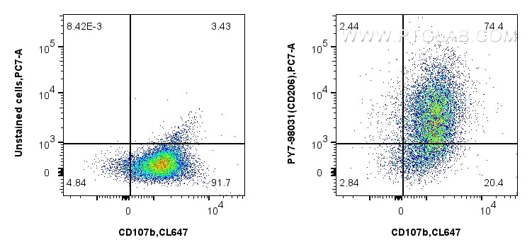 Flow cytometry (FC) experiment of mouse peritoneal macrophages using PE-Cyanine7 Anti-Mouse CD206 Rabbit Recombinant An (PY7-98031)