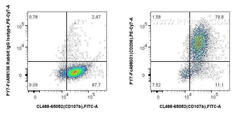 Flow cytometry (FC) experiment of mouse peritoneal macrophages using FcZero-rAb® PE-Cyanine7 Anti-Mouse CD206 Rabbit Re (PY7-FcA98031)