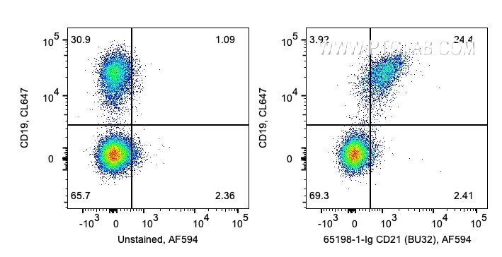 Flow cytometry (FC) experiment of human PBMCs using Anti-Human CD21  (BU32) (65198-1-Ig)