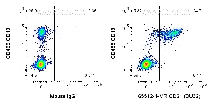 Flow cytometry (FC) experiment of human PBMCs using Anti-Human CD21 (BU32) Mouse Recombinant Antibody (65512-1-MR)