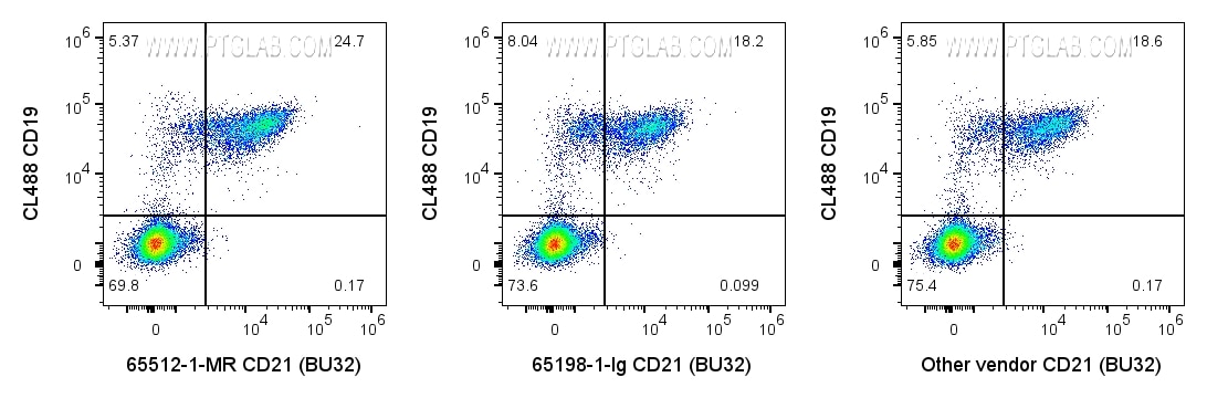 Flow cytometry (FC) experiment of human PBMCs using Anti-Human CD21 (BU32) Mouse Recombinant Antibody (65512-1-MR)