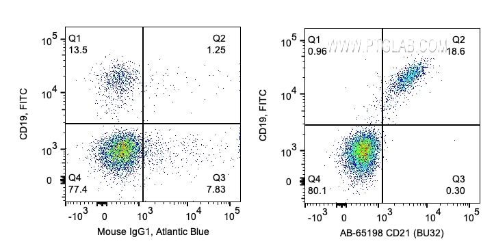 Flow cytometry (FC) experiment of human PBMCs using Atlantic Blue™ Anti-Human CD21  (BU32) (AB-65198)