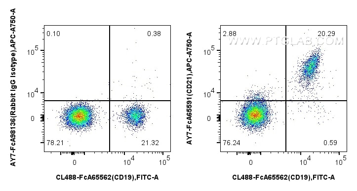 Flow cytometry (FC) experiment of human PBMCs using FcZero-rAb™ APC-Cyanine7 Anti-Human CD21 (BU32) Ra (AY7-FcA65591)