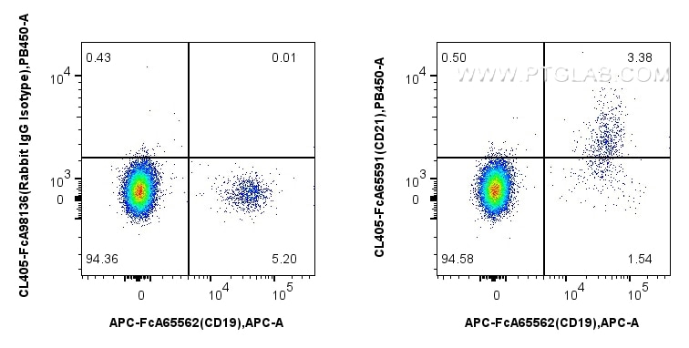 Flow cytometry (FC) experiment of human PBMCs using FcZero-rAb™ CoraLite® Plus 405 Anti-Human CD21 (BU (CL405-FcA65591)