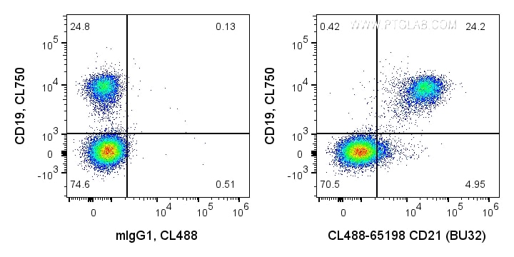 Flow cytometry (FC) experiment of human PBMCs using CoraLite® Plus 488 Anti-Human CD21 (BU32) (CL488-65198)