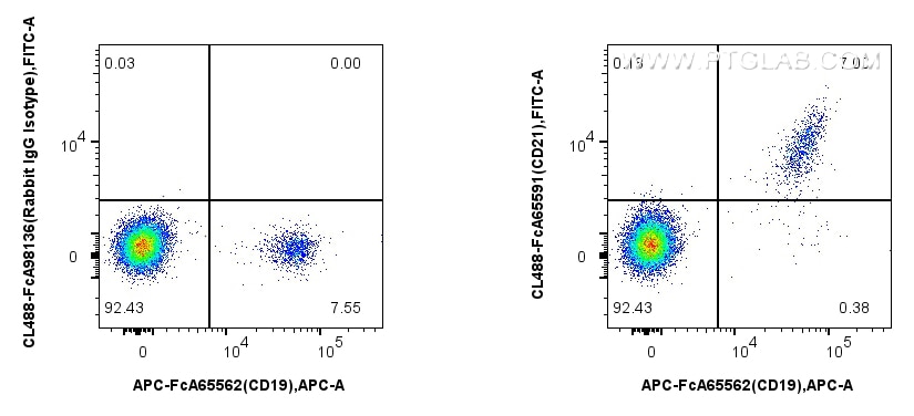 Flow cytometry (FC) experiment of human PBMCs using FcZero-rAb™ CoraLite® Plus 488 Anti-Human CD21 (BU (CL488-FcA65591)