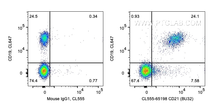 Flow cytometry (FC) experiment of human PBMCs using CoraLite® Plus 555 Anti-Human CD21  (BU32) (CL555-65198)