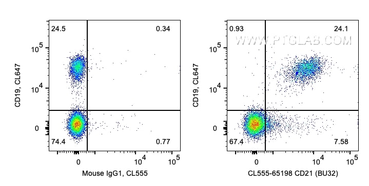 FC experiment of human PBMCs using CL555-65198