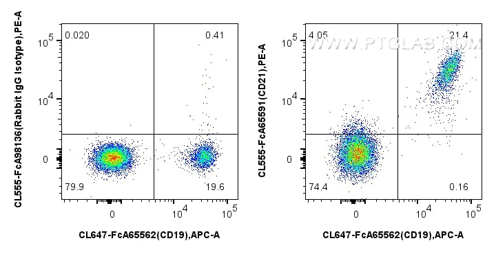 FC experiment of human PBMCs using CL555-FcA65591 Flow cytometry (FC) experiment of human PBMCs using FcZero-rAb® CoraLite® Plus 555 Anti-Human CD21 (BU (CL555-FcA65591)