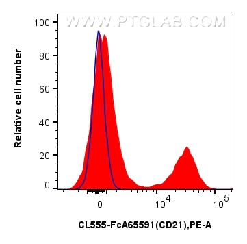 FC experiment of human PBMCs using CL555-FcA65591 Flow cytometry (FC) experiment of human PBMCs using FcZero-rAb® CoraLite® Plus 555 Anti-Human CD21 (BU (CL555-FcA65591)