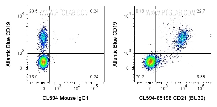 Flow cytometry (FC) experiment of human PBMCs using CoraLite®594 Anti-Human CD21 (BU32) (CL594-65198)