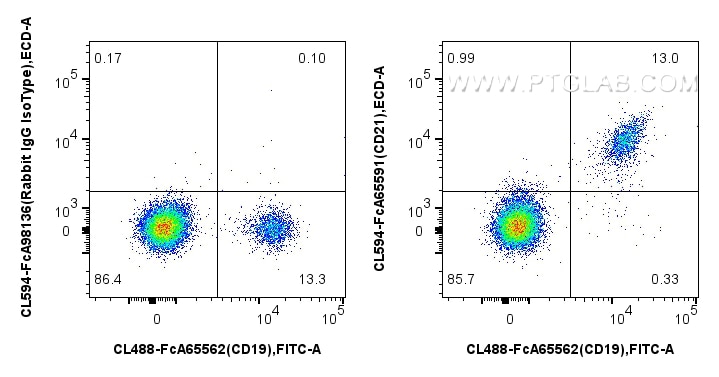 Flow cytometry (FC) experiment of human PBMCs using FcZero-rAb™ CoraLite® Plus 594 Anti-Human CD21 (BU (CL594-FcA65591)