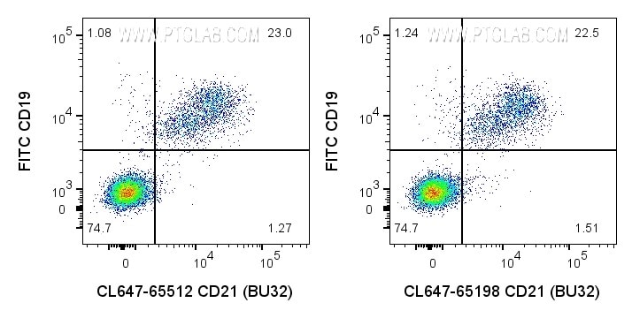 Flow cytometry (FC) experiment of human PBMCs using CoraLite® Plus 647 Anti-Human CD21 (BU32) Mouse Re (CL647-65512)