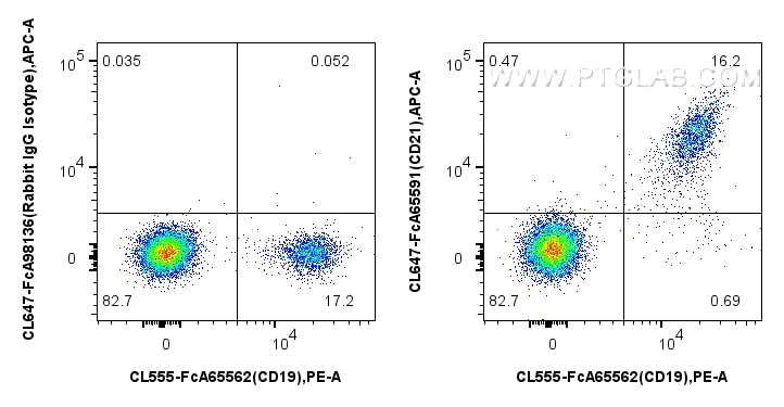 Flow cytometry (FC) experiment of human PBMCs using FcZero-rAb® CoraLite® Plus 647 Anti-Human CD21 (BU (CL647-FcA65591)