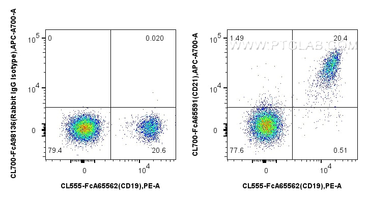FC experiment of human PBMCs using CL700-FcA65591 Flow cytometry (FC) experiment of human PBMCs using FcZero-rAb® CoraLite®700 Anti-Human CD21 (BU32) Ra (CL700-FcA65591)