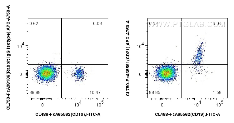FC experiment of human PBMCs using CL750-FcA65591 Flow cytometry (FC) experiment of human PBMCs using FcZero-rAb® CoraLite® Plus 750 Anti-Human CD21 (BU (CL750-FcA65591)