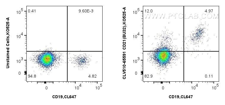Flow cytometry (FC) experiment of human PBMCs using CoraLux Violet 510 Anti-Human CD21 (BU32) Mouse Ig (CLV510-65591)