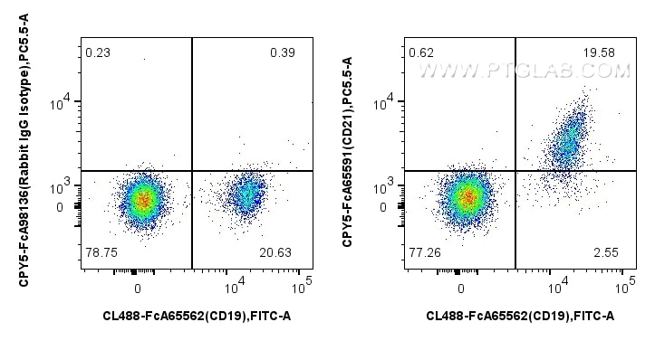 Flow cytometry (FC) experiment of human PBMCs using FcZero-rAb™ PerCP-Cyanine5.5 Anti-Human CD21 (BU32 (CPY5-FcA65591)
