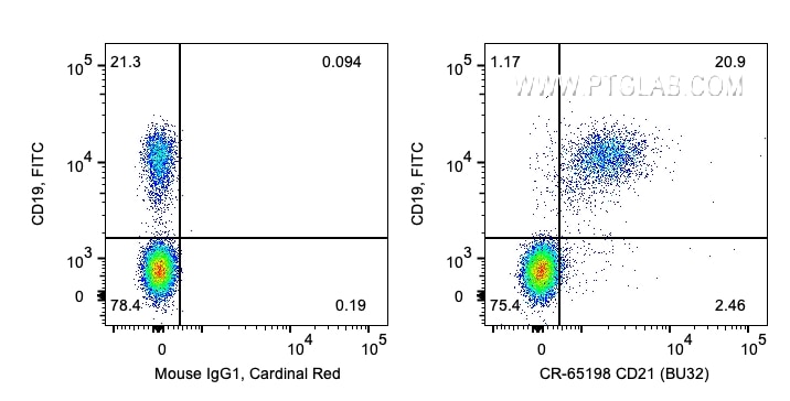 Flow cytometry (FC) experiment of human PBMCs using Cardinal Red™ Anti-Human CD21  (BU32) (CR-65198)