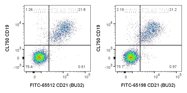 Flow cytometry (FC) experiment of human PBMCs using FITC Plus Anti-Human CD21 (BU32) Mouse Recombinant (FITC-65512)
